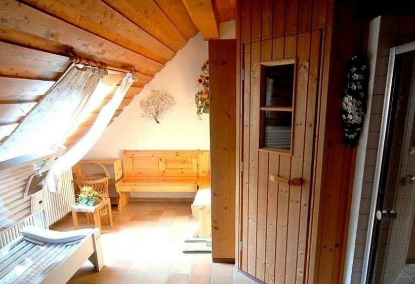 B1 Schwarzwald Fewo An Der Alb