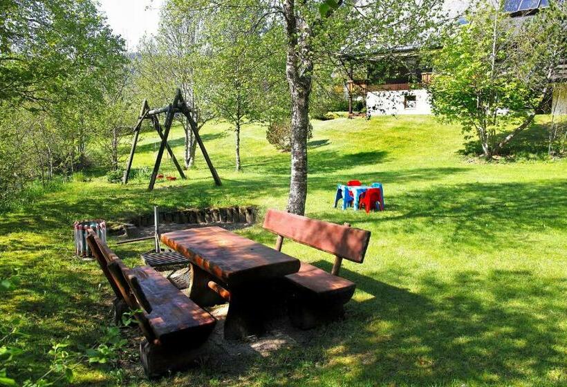 B1 Schwarzwald Fewo An Der Alb