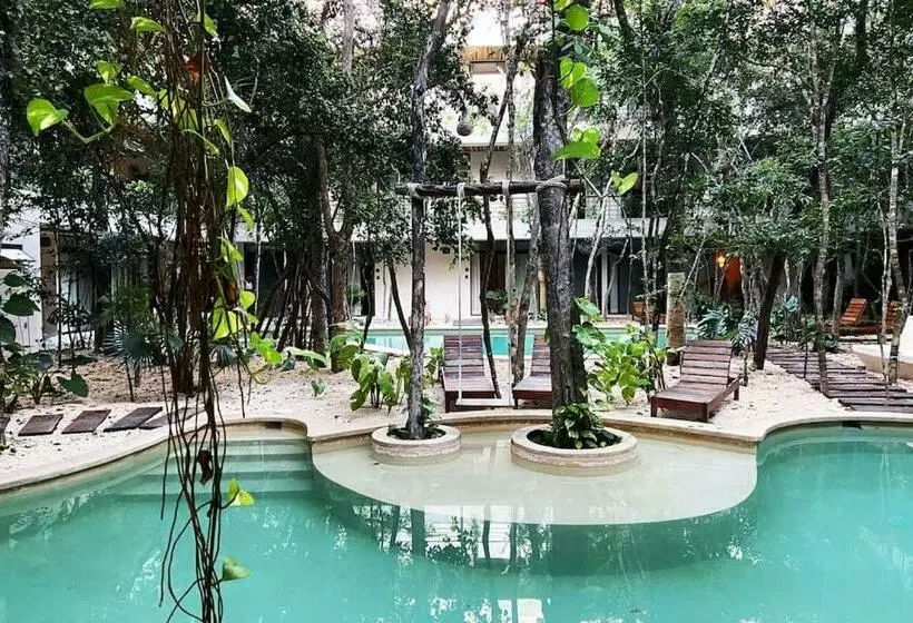 Etnica Tulum Residences   Luxury Apartments O