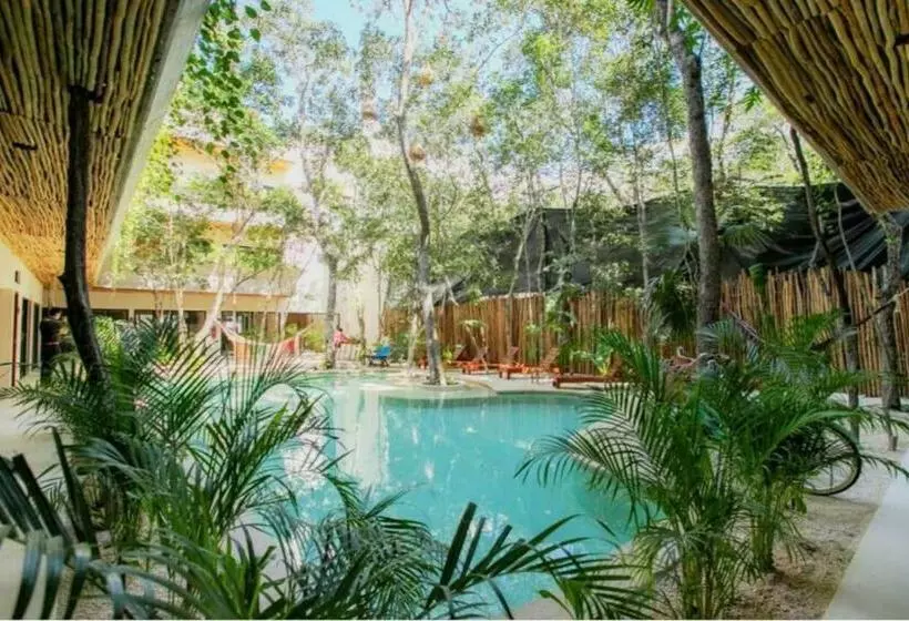 Etnica Tulum Residences   Luxury Apartments O