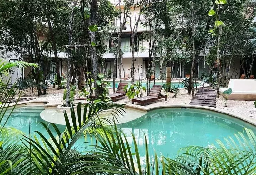 Etnica Tulum Residences   Luxury Apartments O