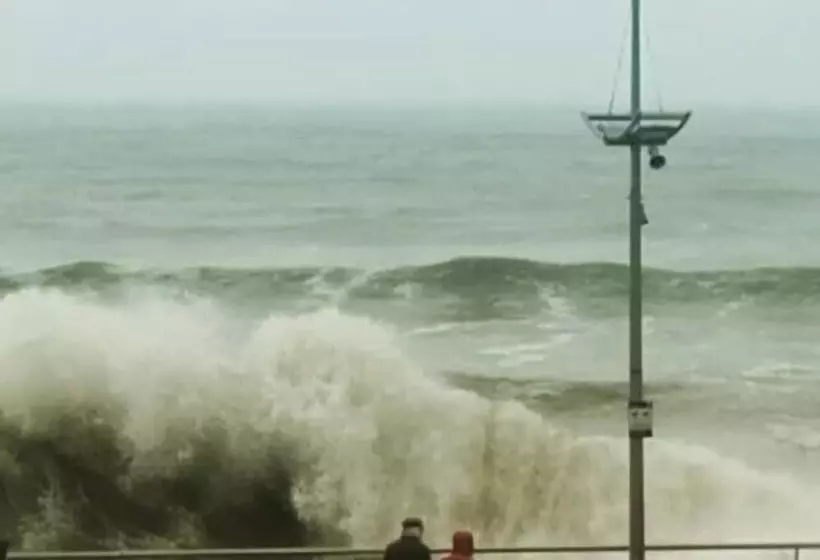 Mourne Mountain Art Apartments