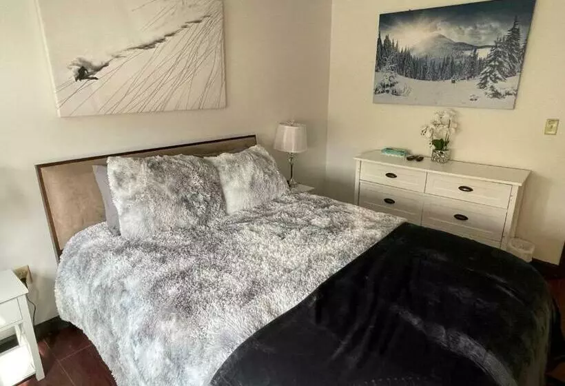 Gorgeous Ski On/off 2 Br Sleeps 8 Jiminy Must See Luxury