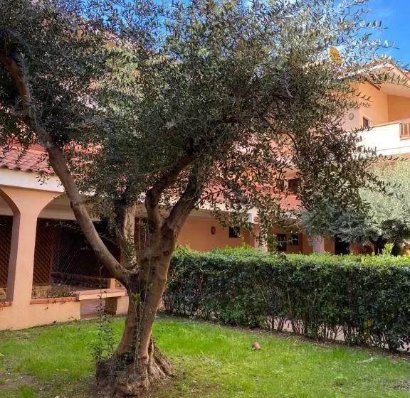 ペンション Cala Reale Rooms Marinella