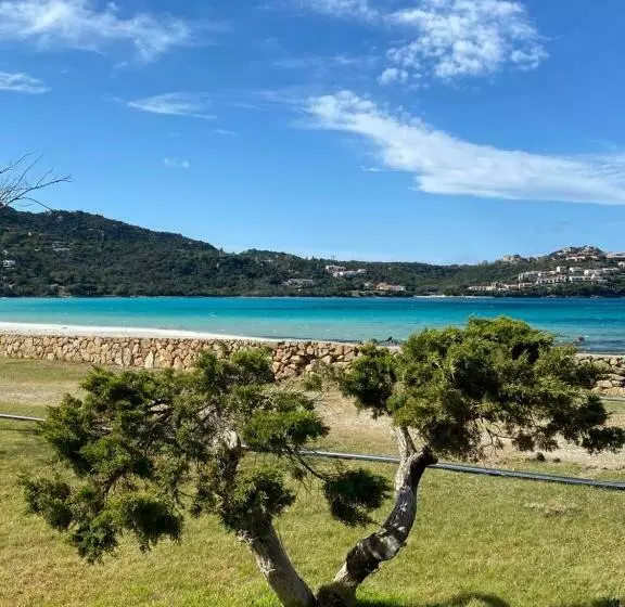 ペンション Cala Reale Rooms Marinella
