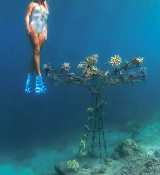 リゾートホテル Sumberkima Hill Retreat 2