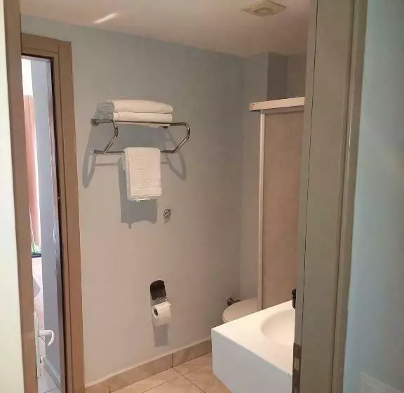 Rozetta Suite