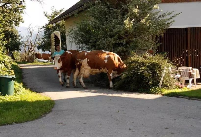 ホテル Mentebauer Traudis Ferienhof
