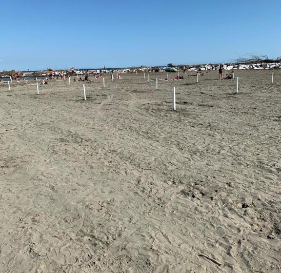 פנסיון Ferienhäuschen, Ländlich, Nah Am Meer, Casetta In Campagna Vicino Al Mare ,ariacondizionata