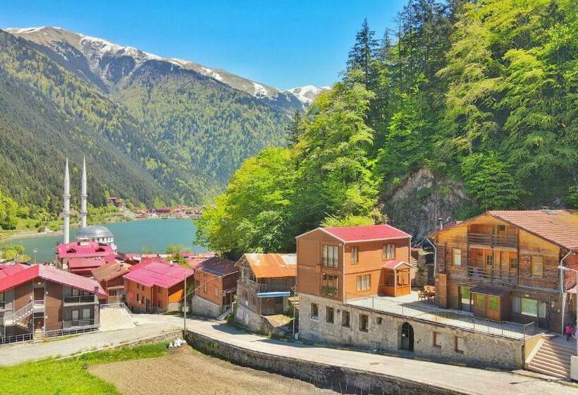 Uzungöl Seyir Apart