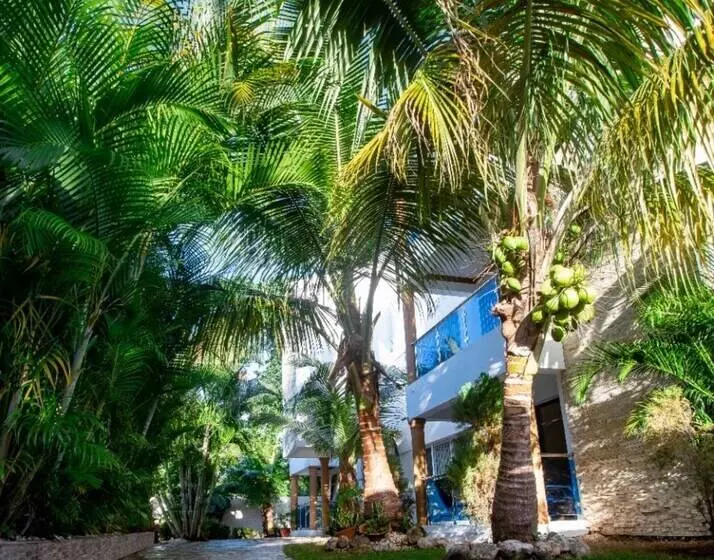 Cozy And Central Apartment 1br 1ba With Pool