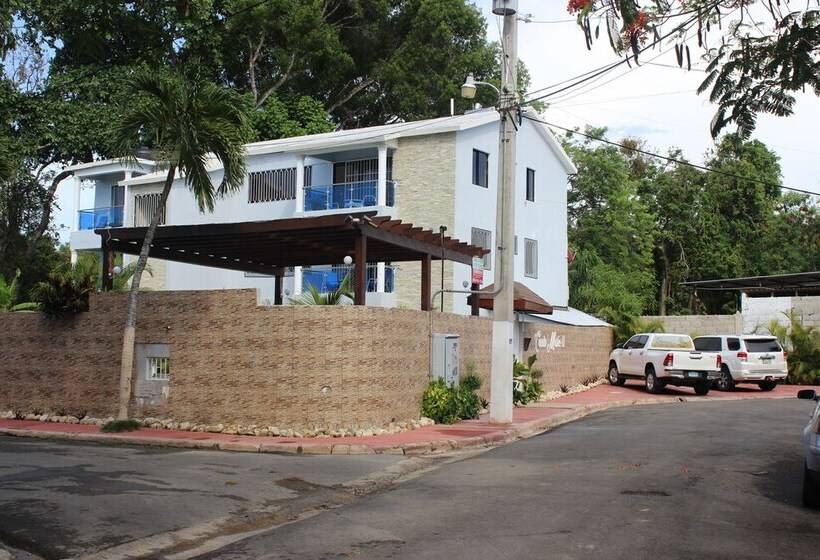 Cozy And Central Apartment 1br 1ba With Pool