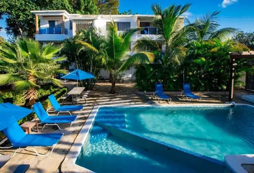 Cozy And Central Apartment 1br 1ba With Pool