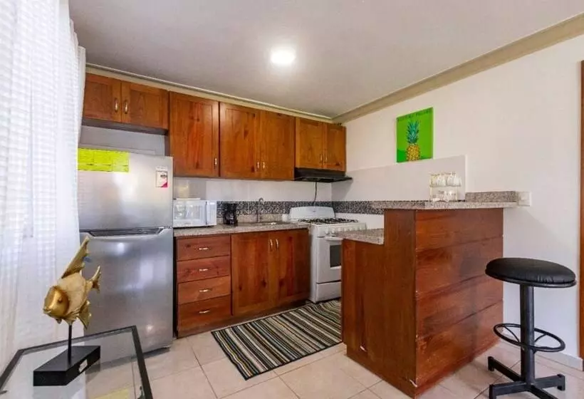 Cozy And Central Apartment 1br 1ba With Pool