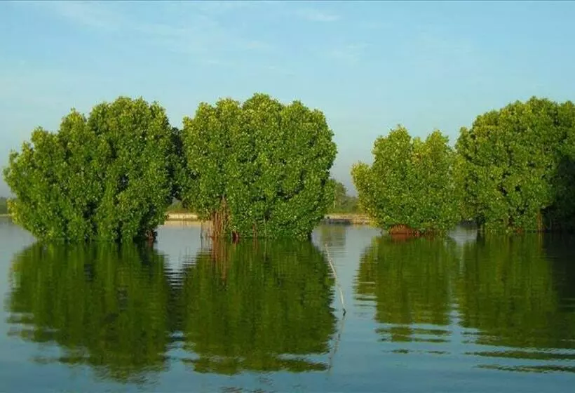 Majatalo Mullavayalil Tourist Home