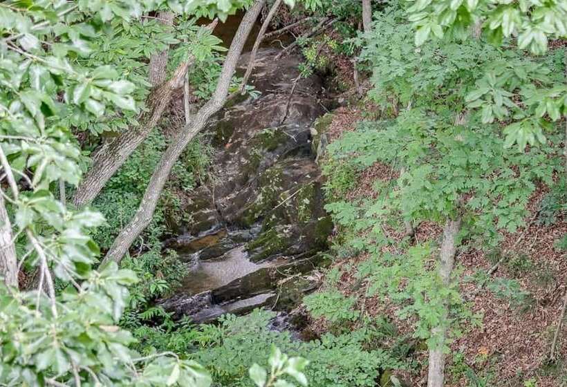 Marvel Falls Treehouse