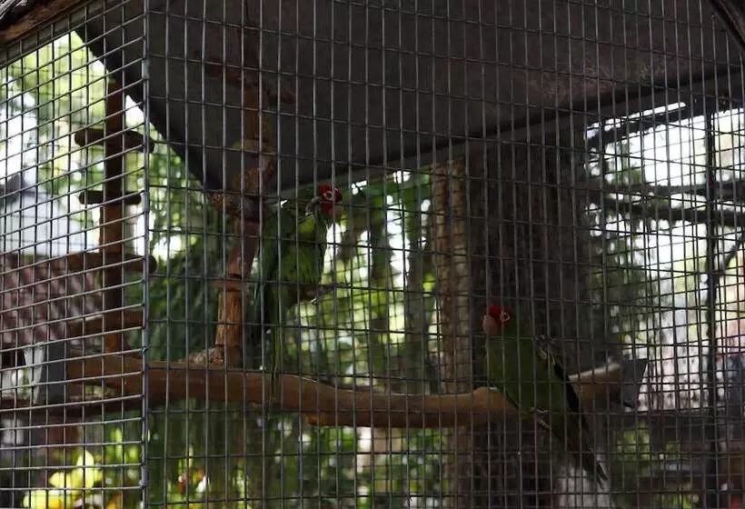 Hotelli Mía Mía Bungalows & Chalets By Zoviq