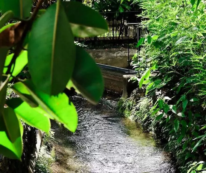 Hotelli Mía Mía Bungalows & Chalets By Zoviq