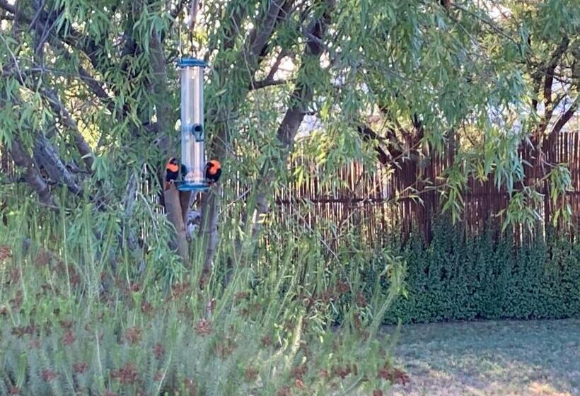 ペンション Karoo Feels