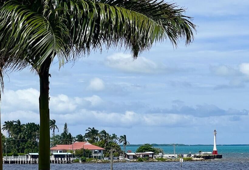 پانسیون One South Place