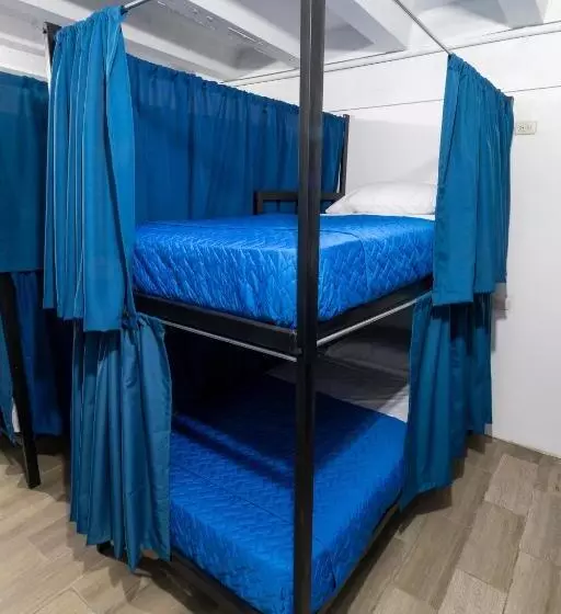 هاستل Citadin