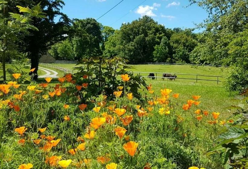 민박 Domaine Du Castellare
