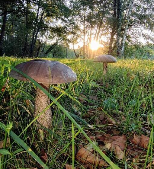 민박 Domaine Du Castellare