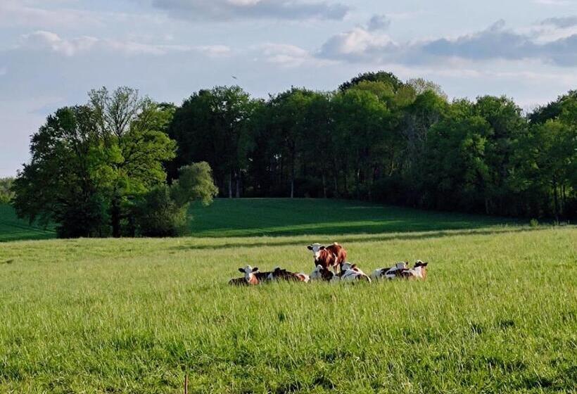 민박 Domaine Du Castellare