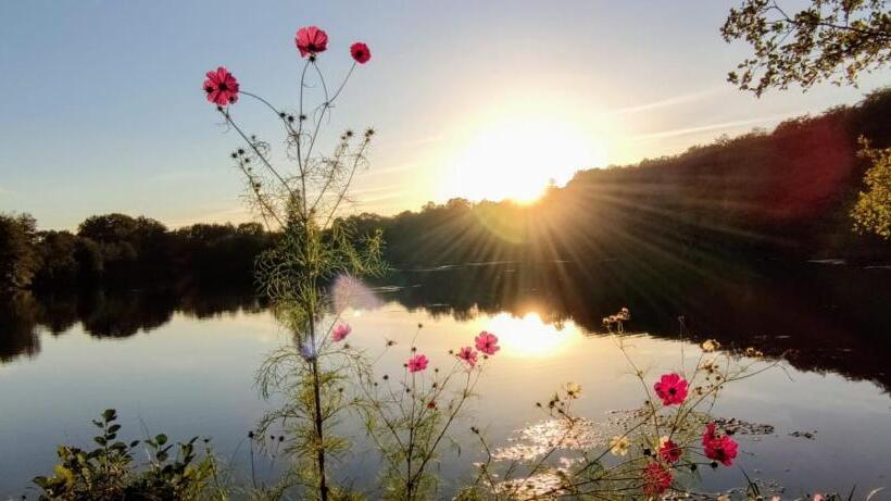 민박 Domaine Du Castellare