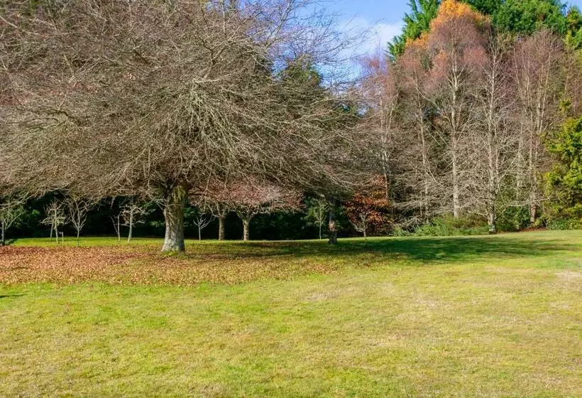 Lupin Lodge Bed & Breakfast