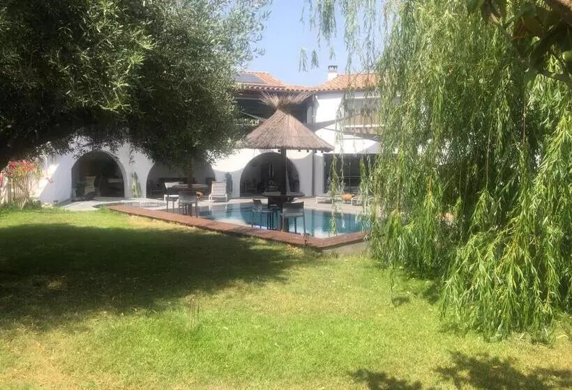 Aamiaismajoitus (B&B) Les Lofts De Bouzigues