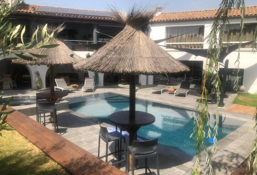 Bed and Breakfast Les Lofts De Bouzigues