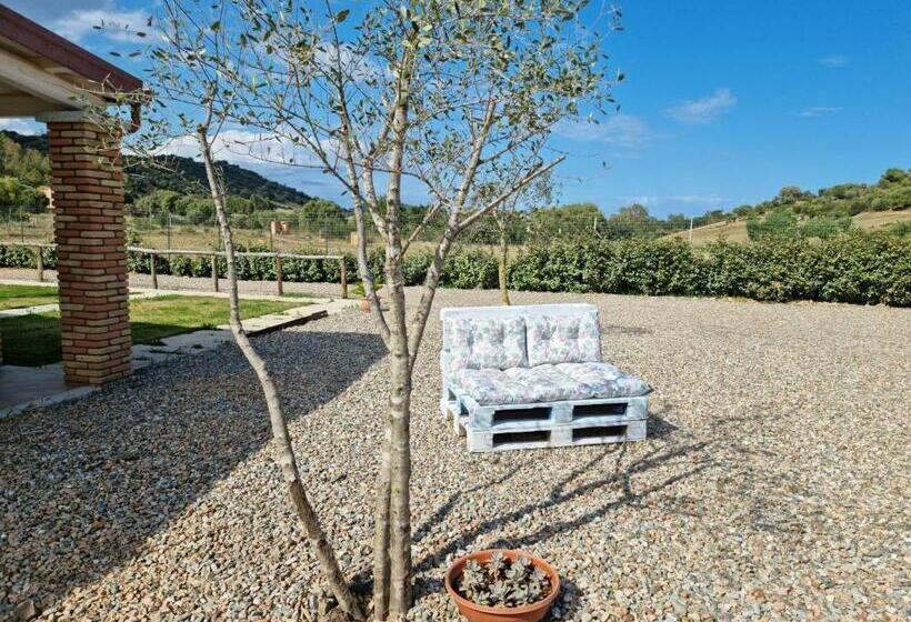 ホテル Agriturismo Sa Jana Holidays Adults Only