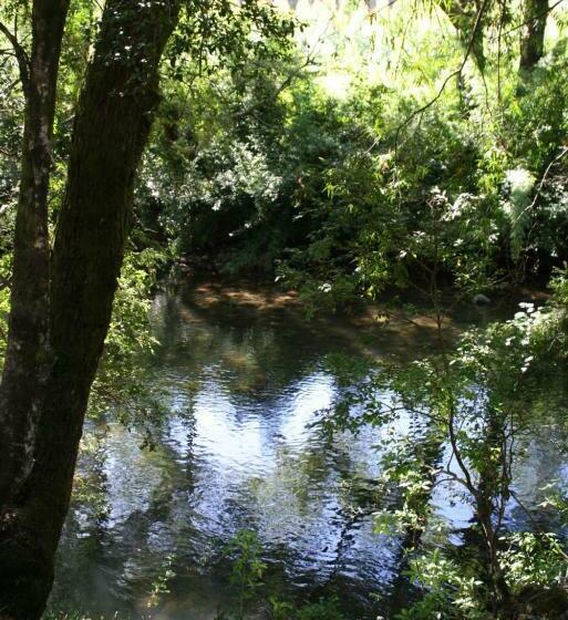 Cabaña Aroma De Campo