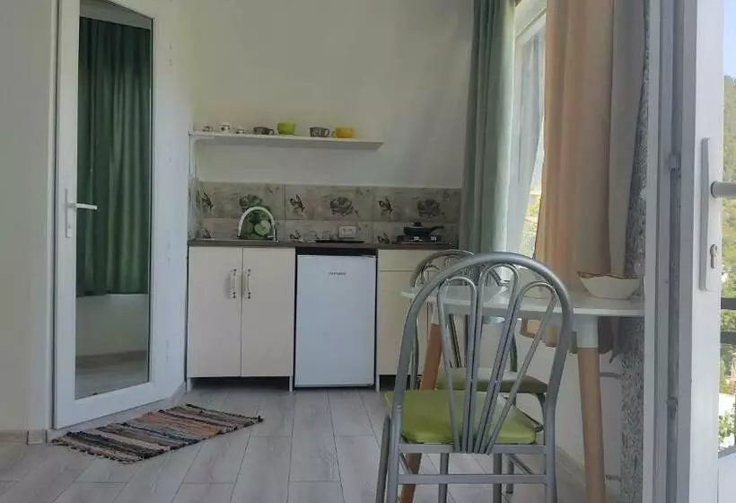 پانسیون Borjomi Nest 1