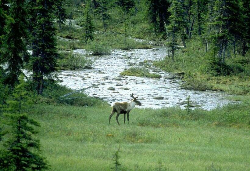 Pensió Raja Guest House
