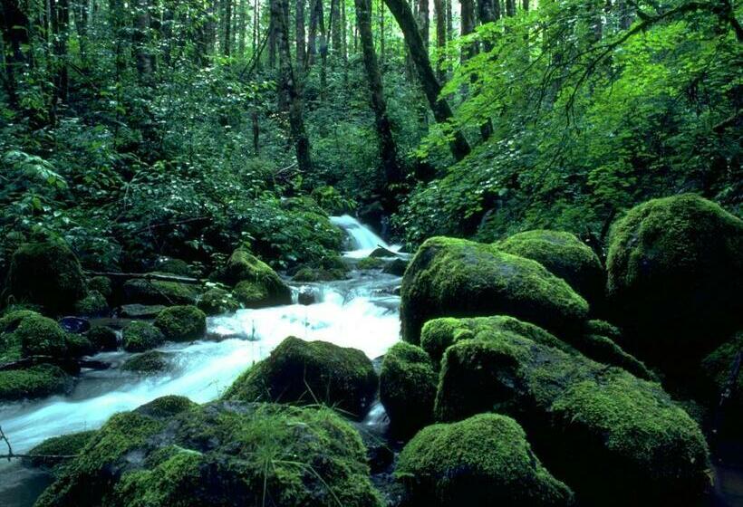 Pensió Raja Guest House