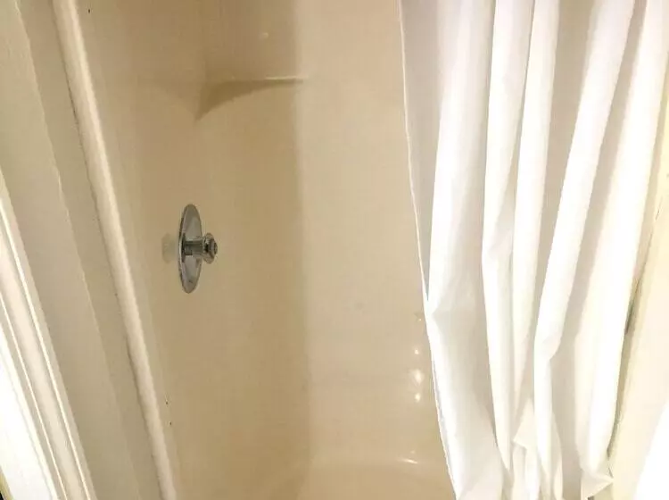 Bed and Breakfast The Ludington House