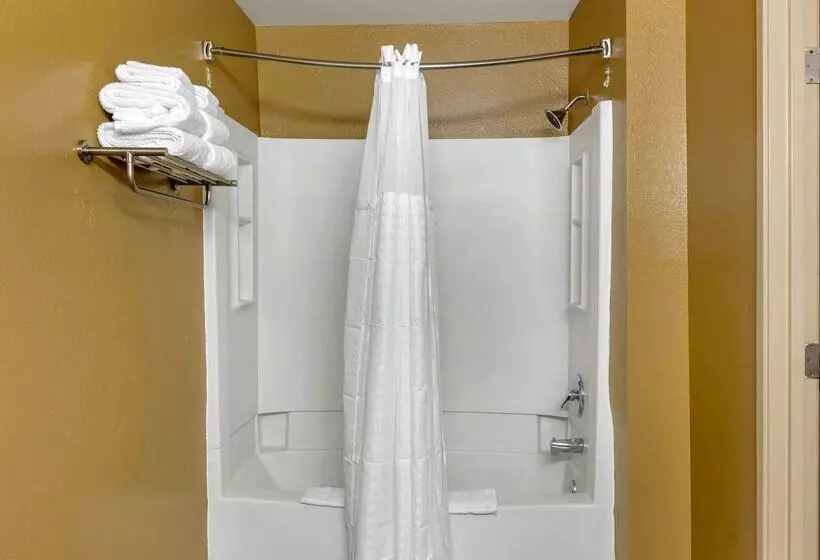 酒店 Extended Stay America Select Suites Greensboro Wendover Ave Big Tree Way