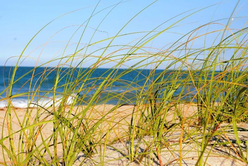 호텔 Seaspray Surf Lodge