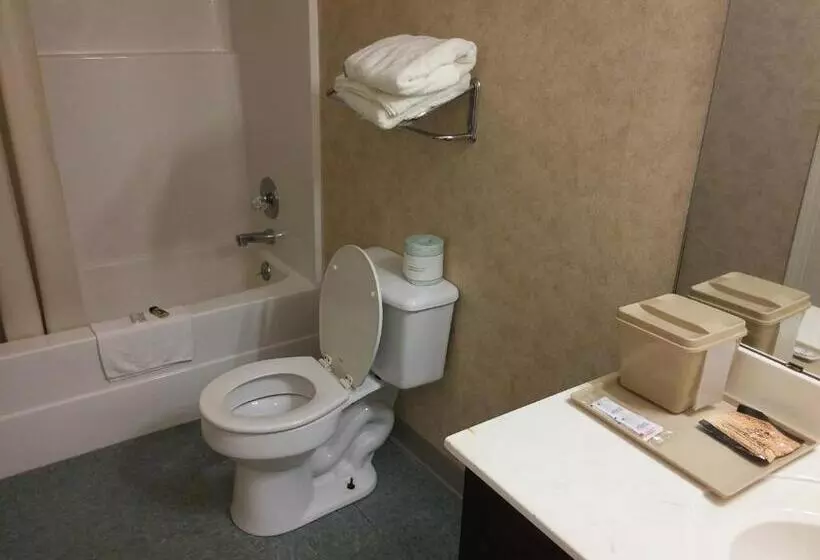 호텔 Stonebrook Inn