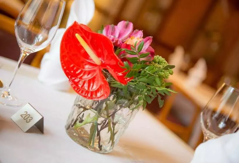 بنسيون Restaurant Bistro Raffel