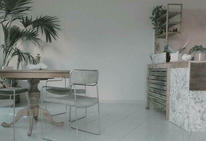 Casa Vacanze Bab Al Bahr   Terrace Garden Oasis