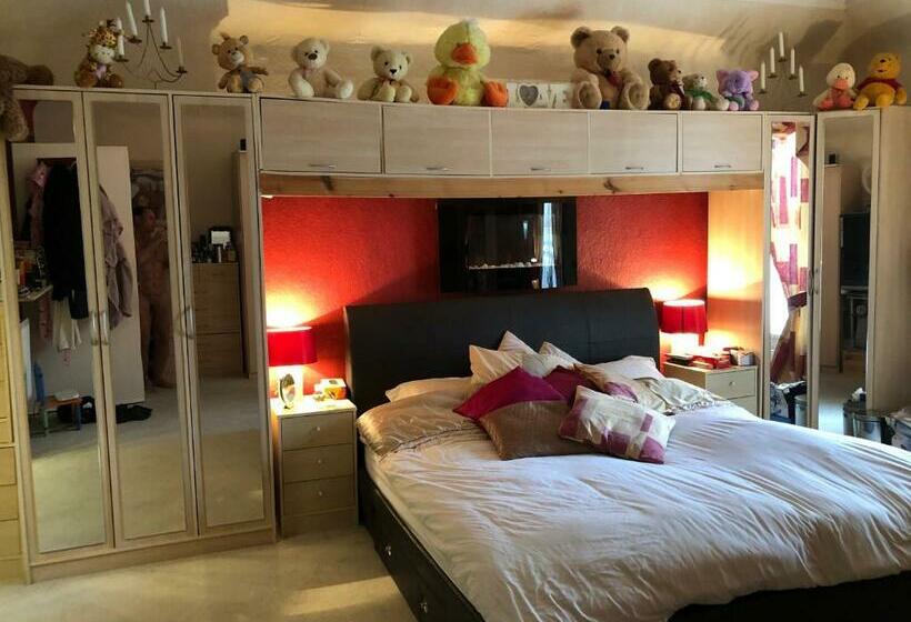 Executive Home For Business Or Family Use