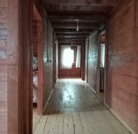 İbuloğlu Dağevi̇