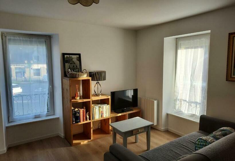 Appartement Duplex Très Lumineux En Centre Ville