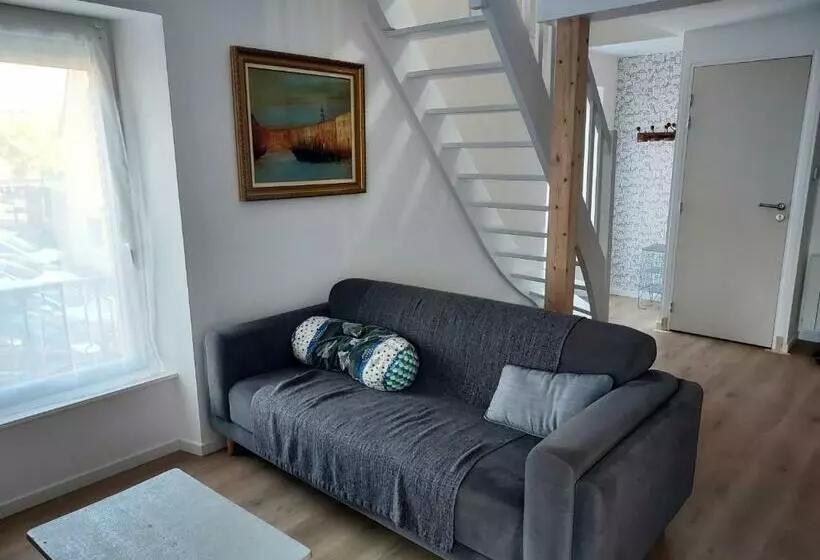 Appartement Duplex Très Lumineux En Centre Ville