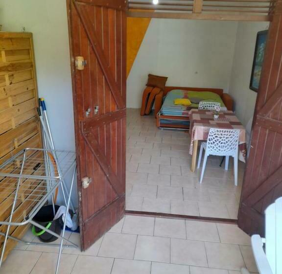 Grand Studio Hibiscus