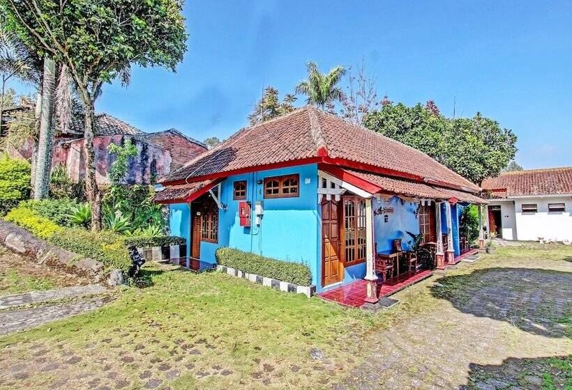 Otel Capital O 91644 Loka Hause