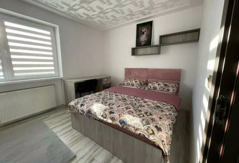 Tei Apartment   Lucian Blaga